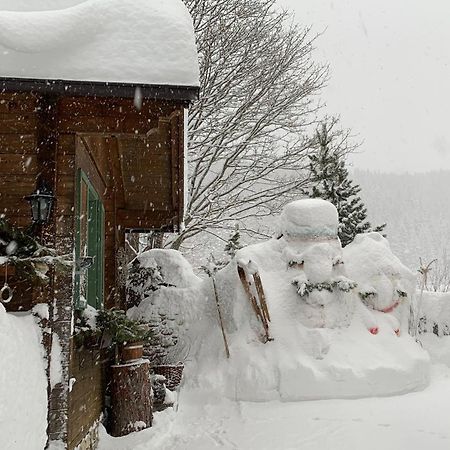 Appartement Aigner Mauterndorf  Bagian luar foto